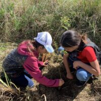 Photo: Students digging