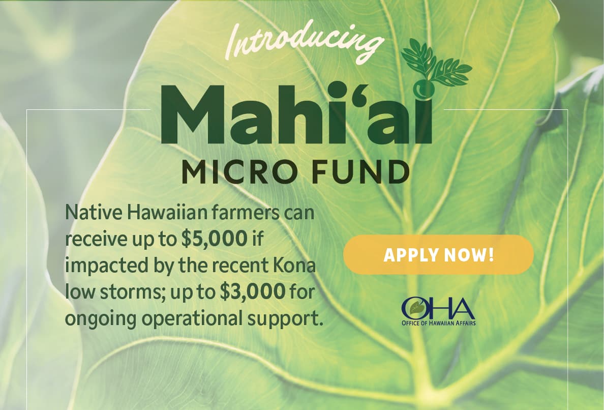 Mahiʻai Micro Fund - Native Hawaiian Farms can receive up to $5000 if impacted by the recent Kona low storms
