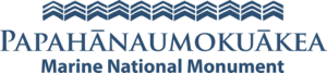 Pmnm logo